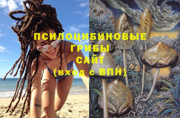 каннабис Арсеньев
