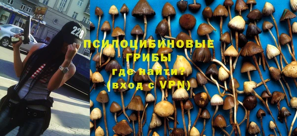 каннабис Арсеньев