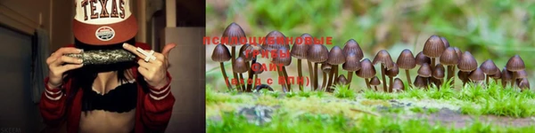 MDMA Premium VHQ Аркадак