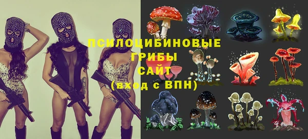 каннабис Арсеньев